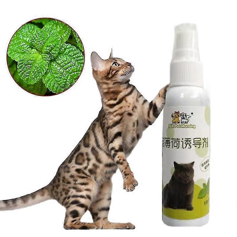 Catnip Spray Cat Thrill Toy Cat Organic Natural Scratch Healthy Inducer Tw