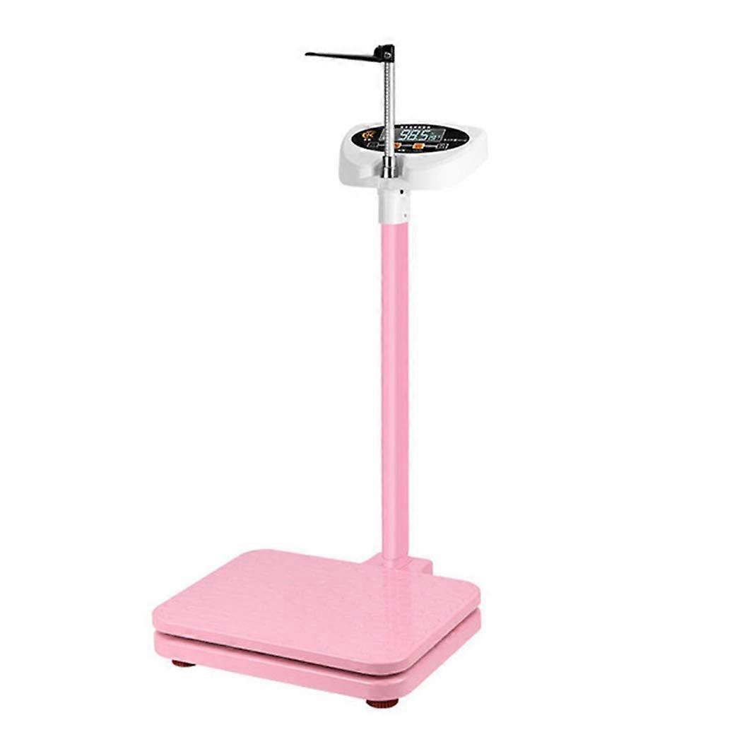 Digital Clinical Scale, Mechanical Height Rod, Height And Weight Scale Medical Mechanical Scales 160kg Darkgray