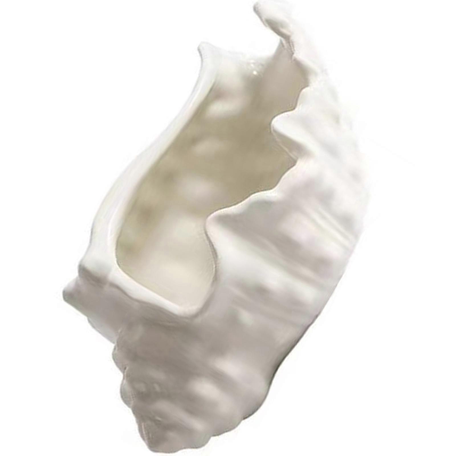 Ceramic Jewelry Display Dish Scratch Resistant Conch Pattern Decorative Storage Accessory for Necklaces Bracelets  White