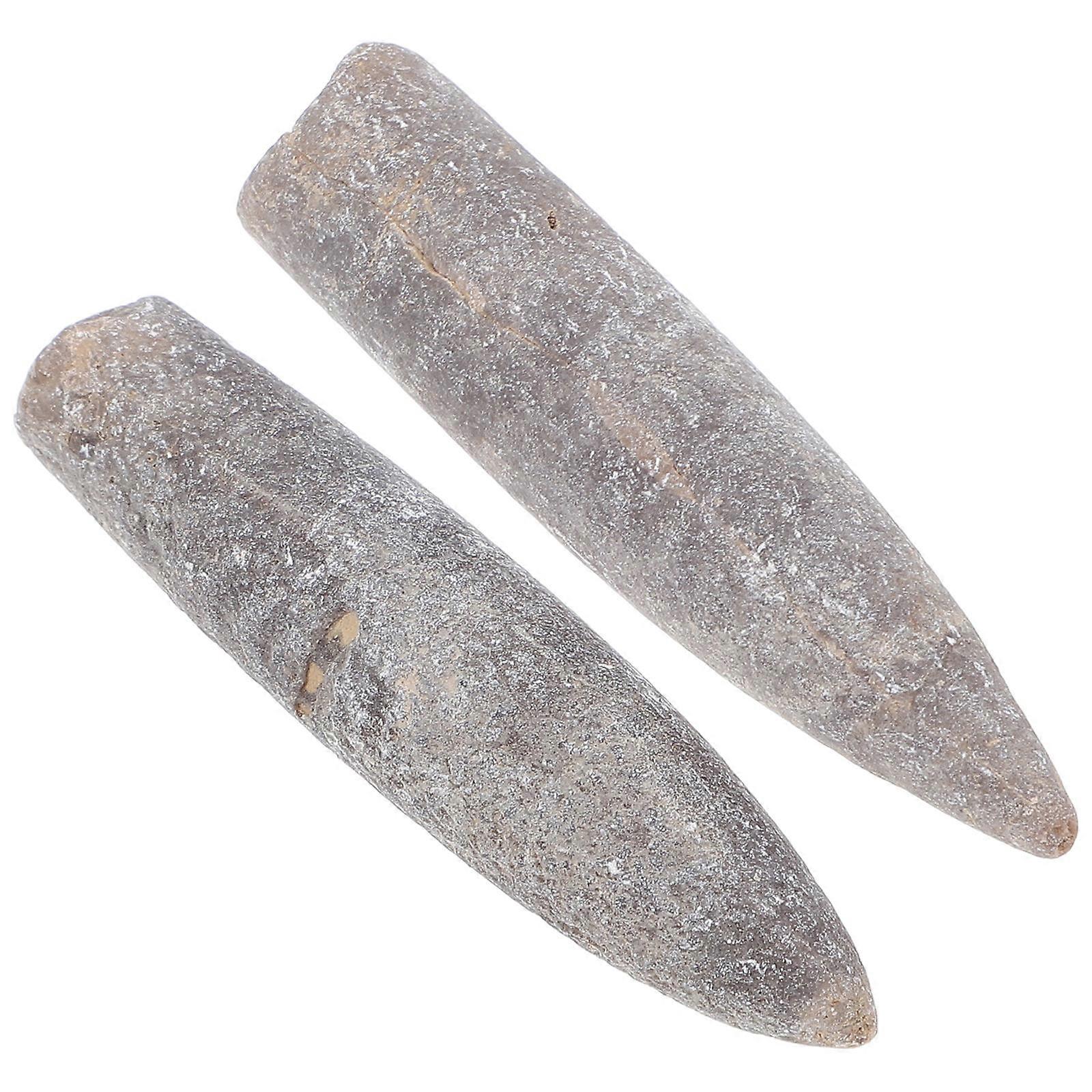 Authentic Belemnite Specimen Educational Tool for Students and Teachers Irregular 2Pcs