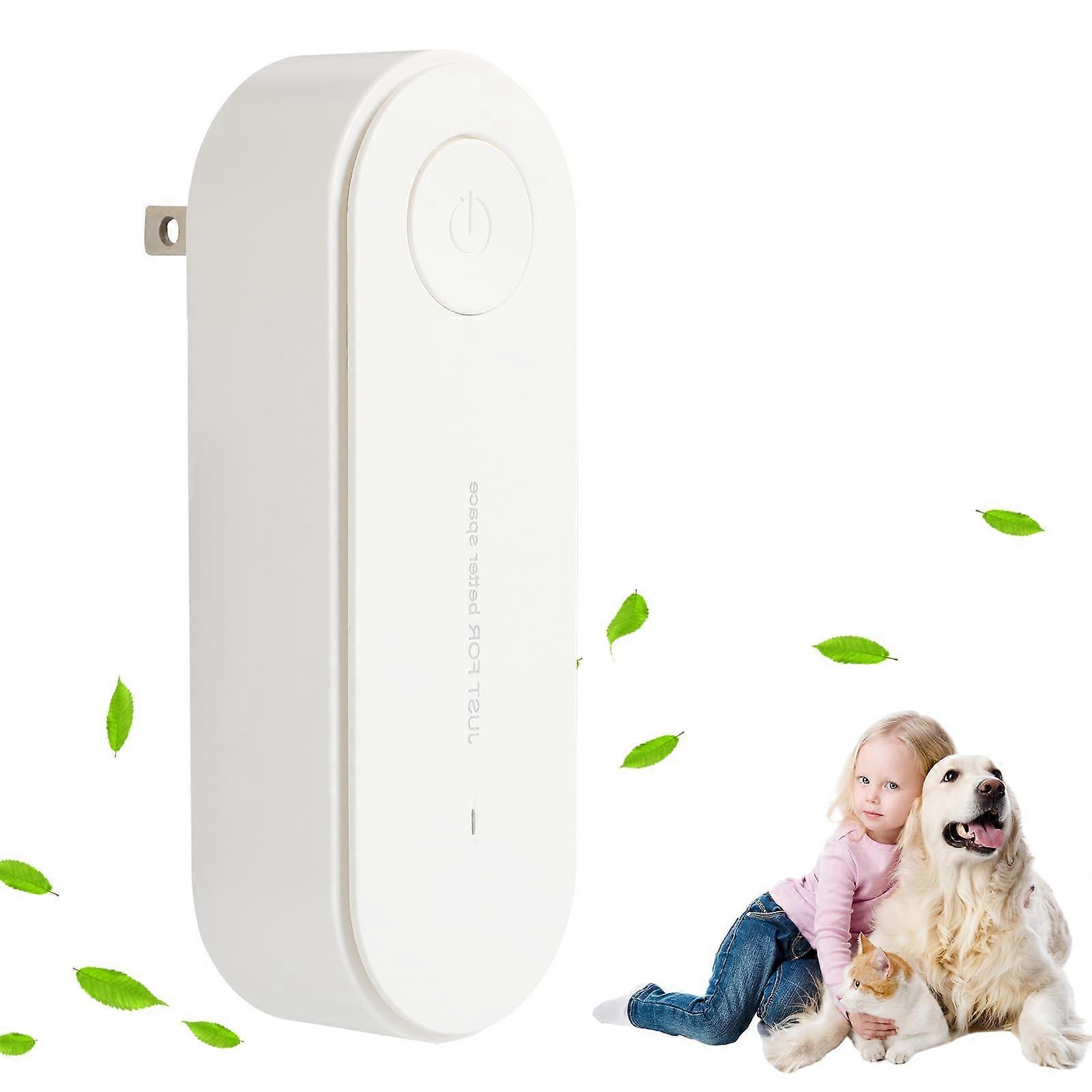 Ionizer Air Purifier Plugin with Negative Ion Purification for Home Bedroom and Pets
