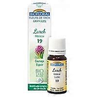 Larch Organic Granules 300 granules