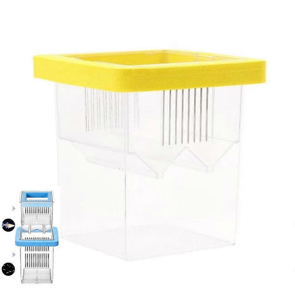 Floating Acrylic Fry Isolation Box