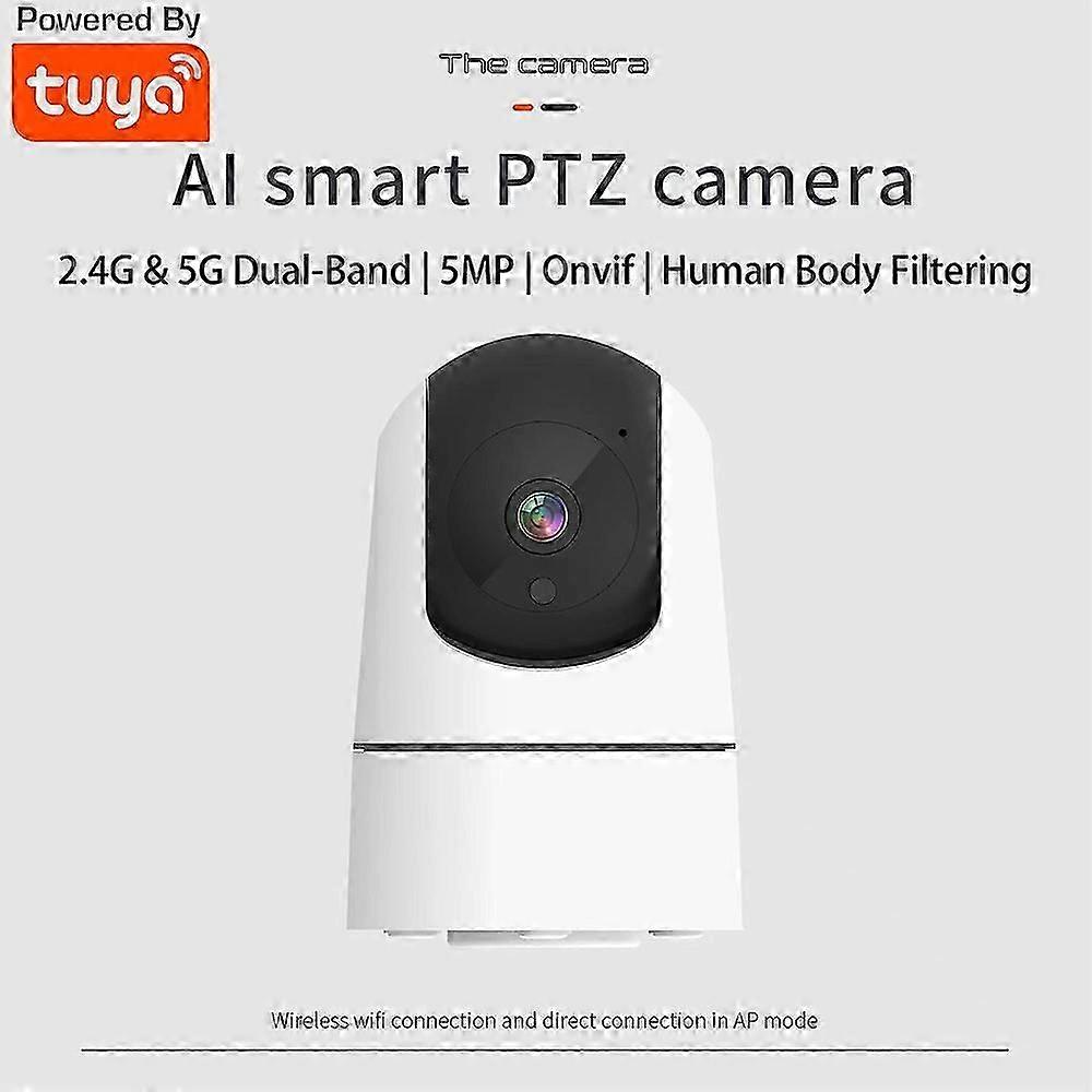 Camera 163P three million single frequency 2.4G