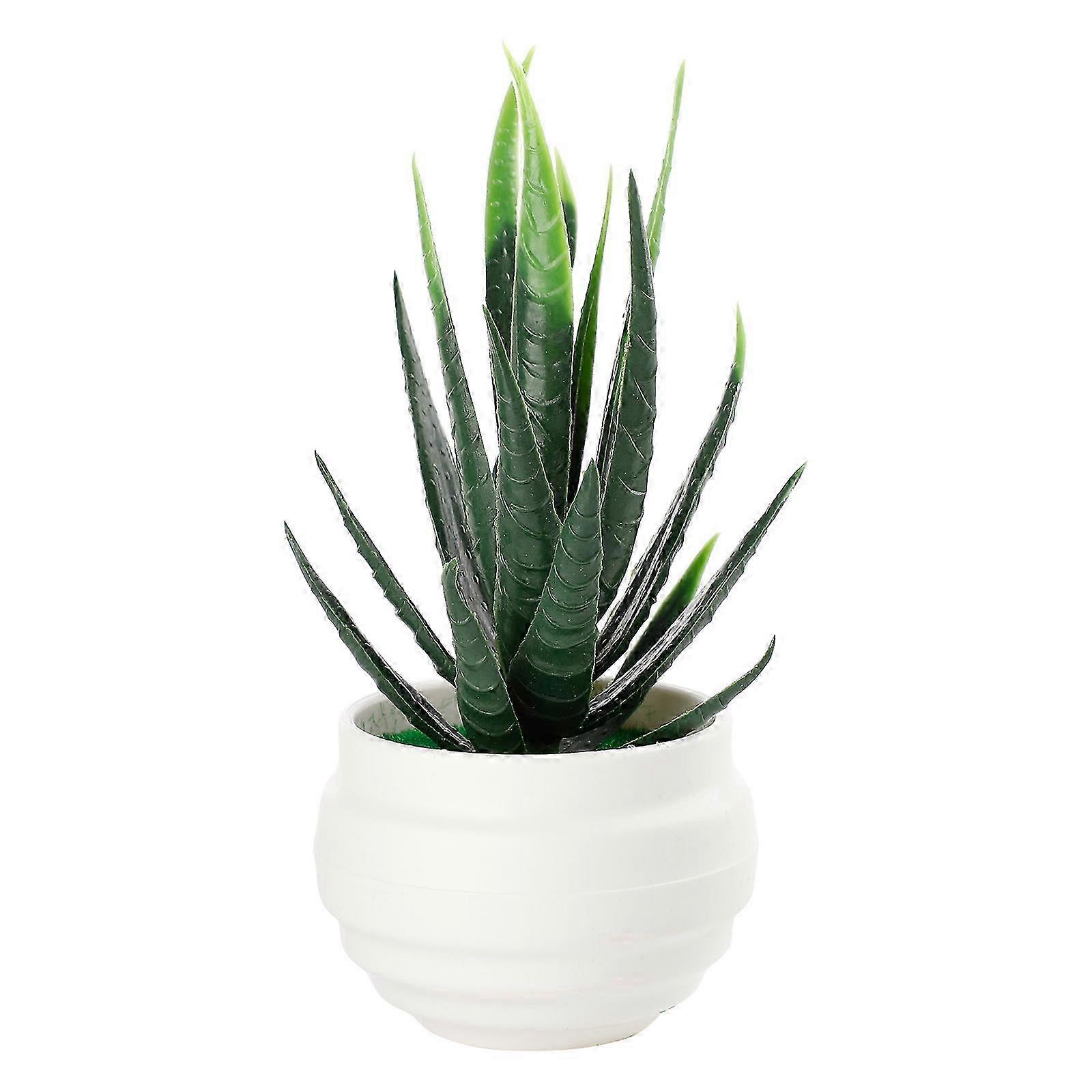 fresh aloe vera gel ALODERMA Pure Aloe Vera Gel - 114g
