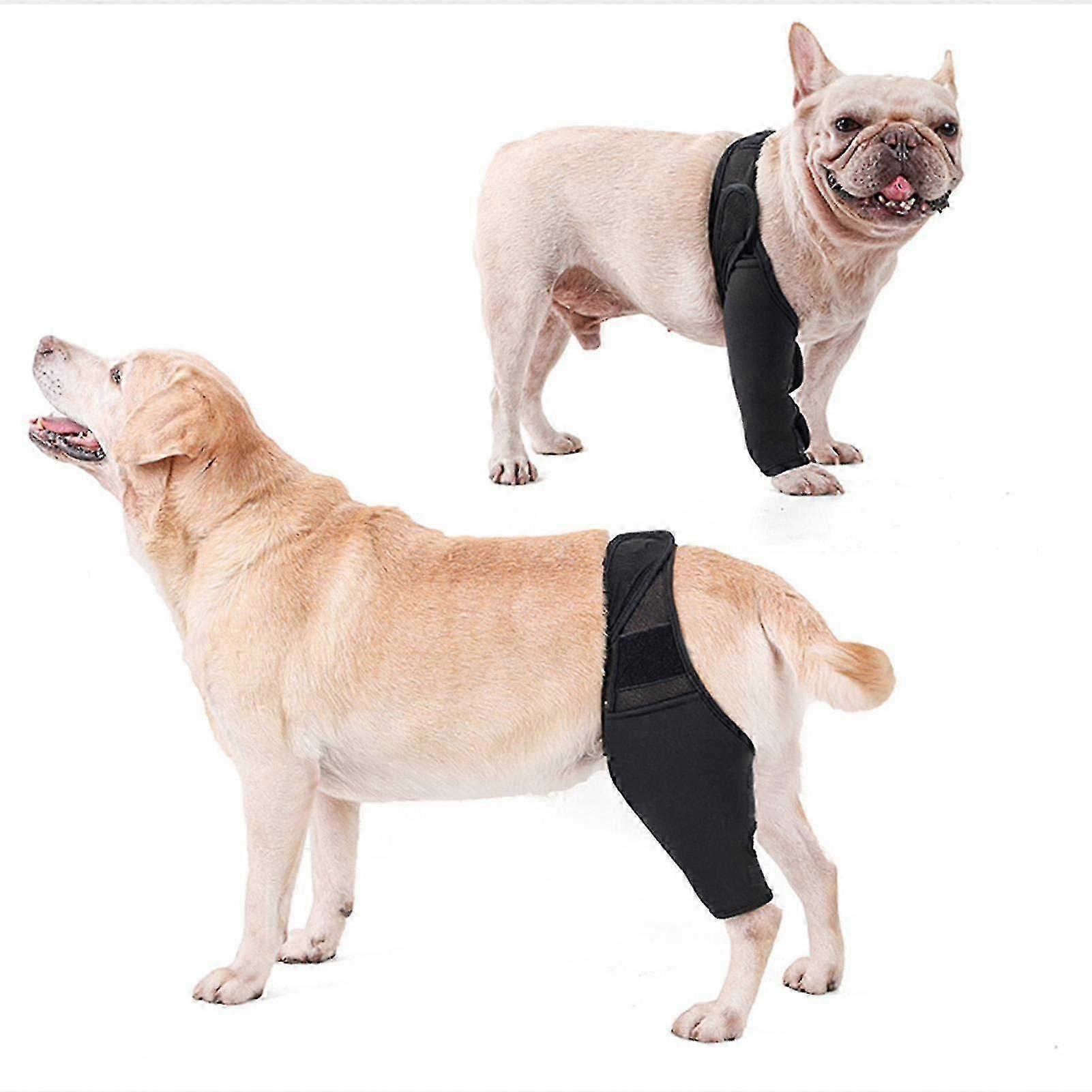 Dog Leg Support Brace for Injury Recovery Relief