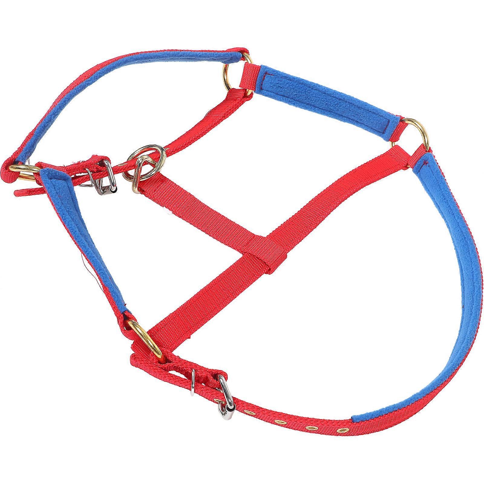 Horse Halter Adjustable Protective Equestrian Accessory Training Riding Red 35.50X34.00X23.00CM Comfortable 1Set
