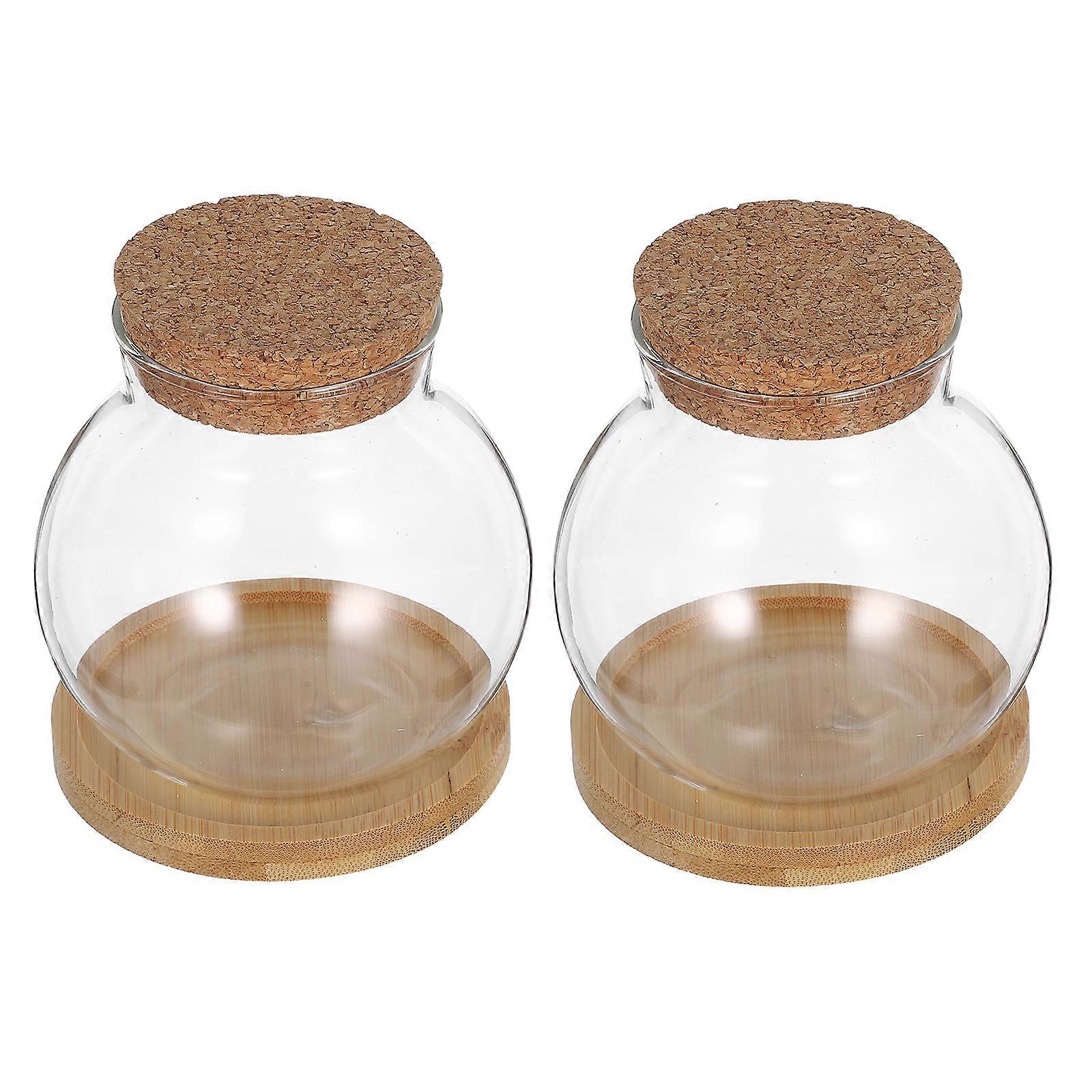 Desktop Terrarium Glass Propagation Vase for Hydroponic Plants 4Sets