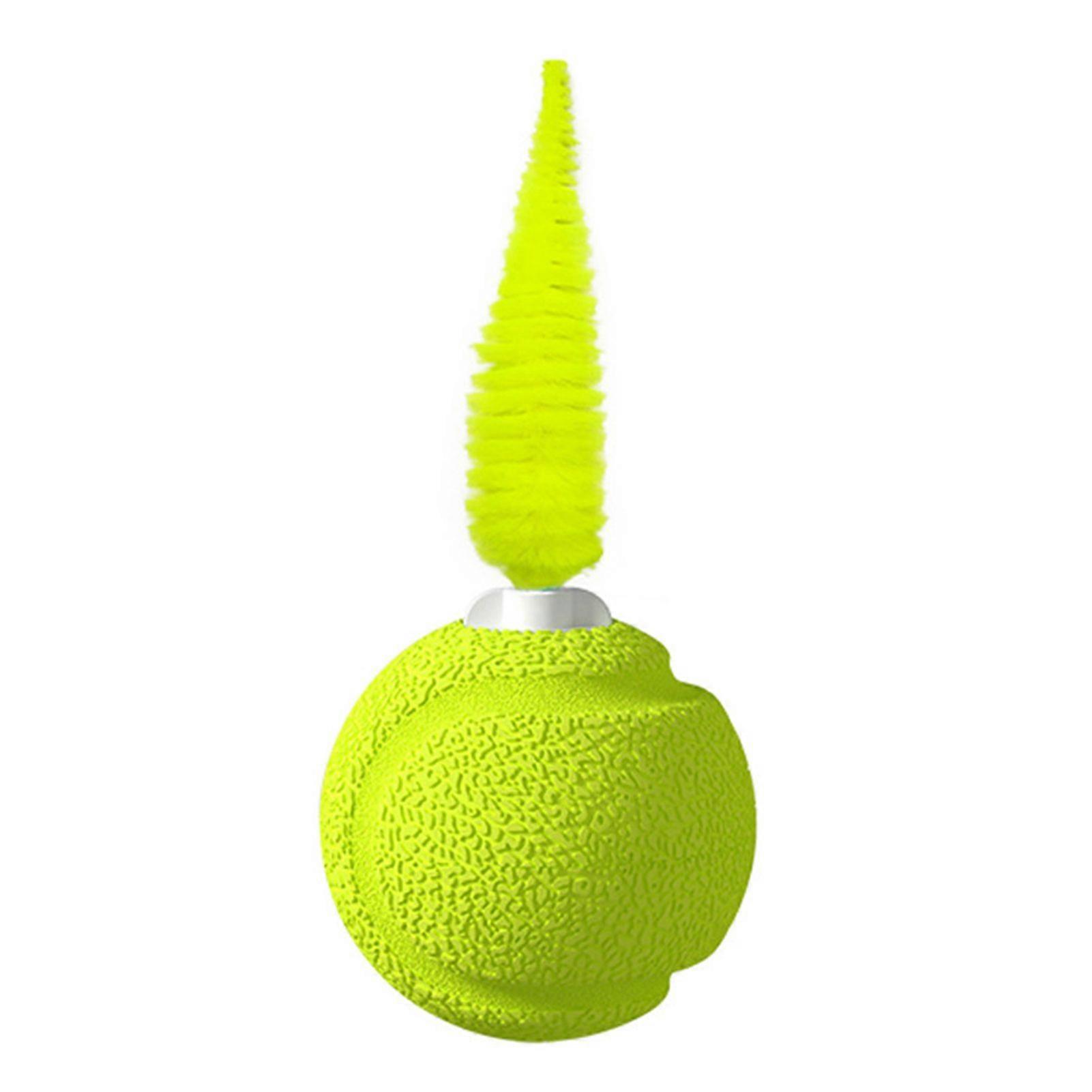 Cat Toy with Sound Feature Cats Bouncy Exercise Ball Interactive Ball Toy with Feathers for Cats Stress Relief Fun Activity Indoor Outdoor Use