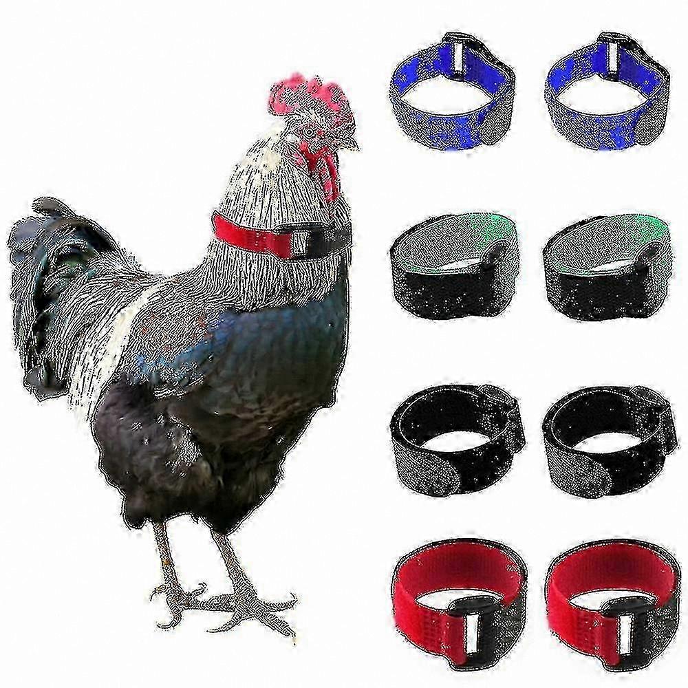 Poultry Noise Reduction Collar - Adjustable Soft Nylon Chicken Neck Band, 20.5cm for Comfort and Control