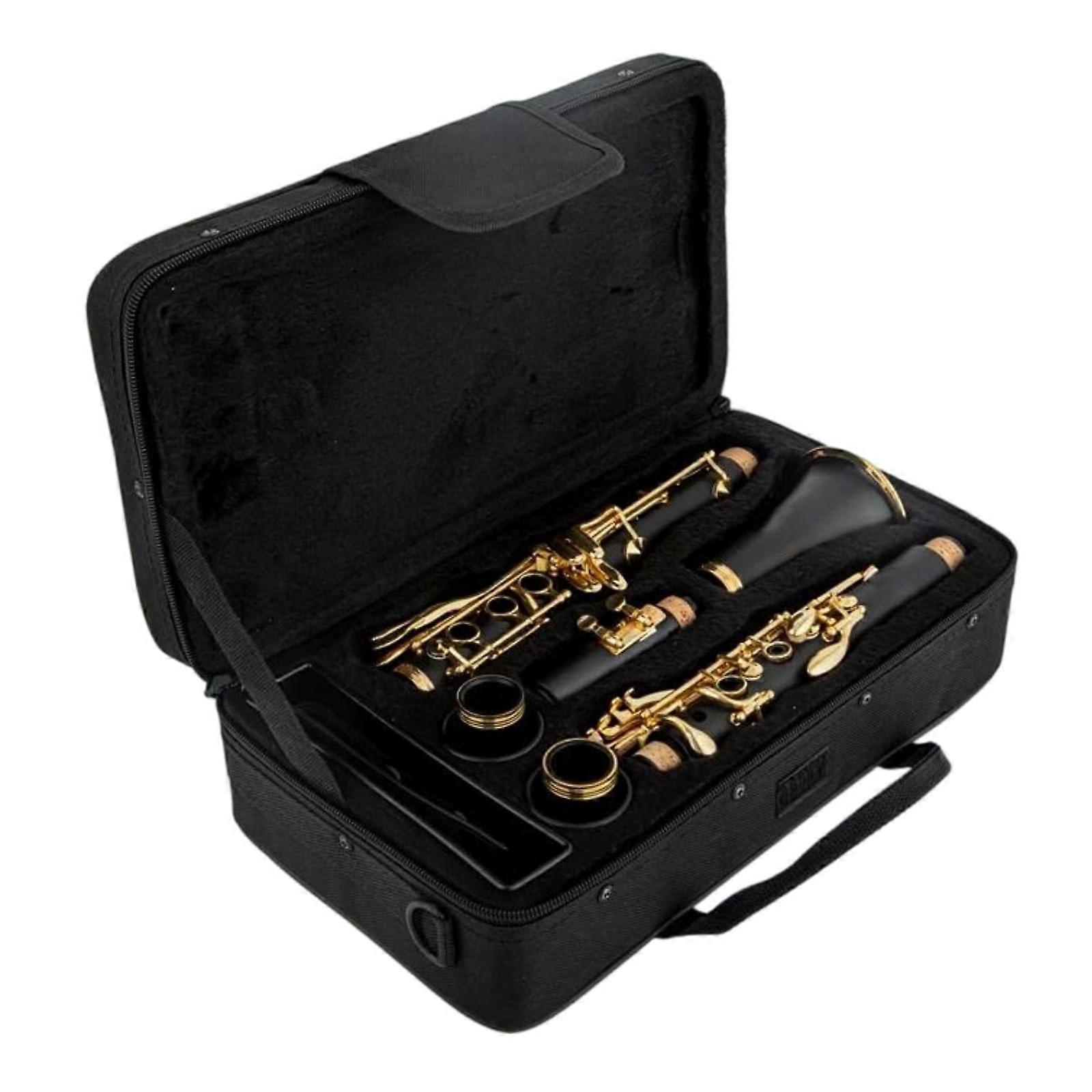 Professional Chromatic Harmonica with Rich Mellow Tone and Dual Mode Switching for Ensemble