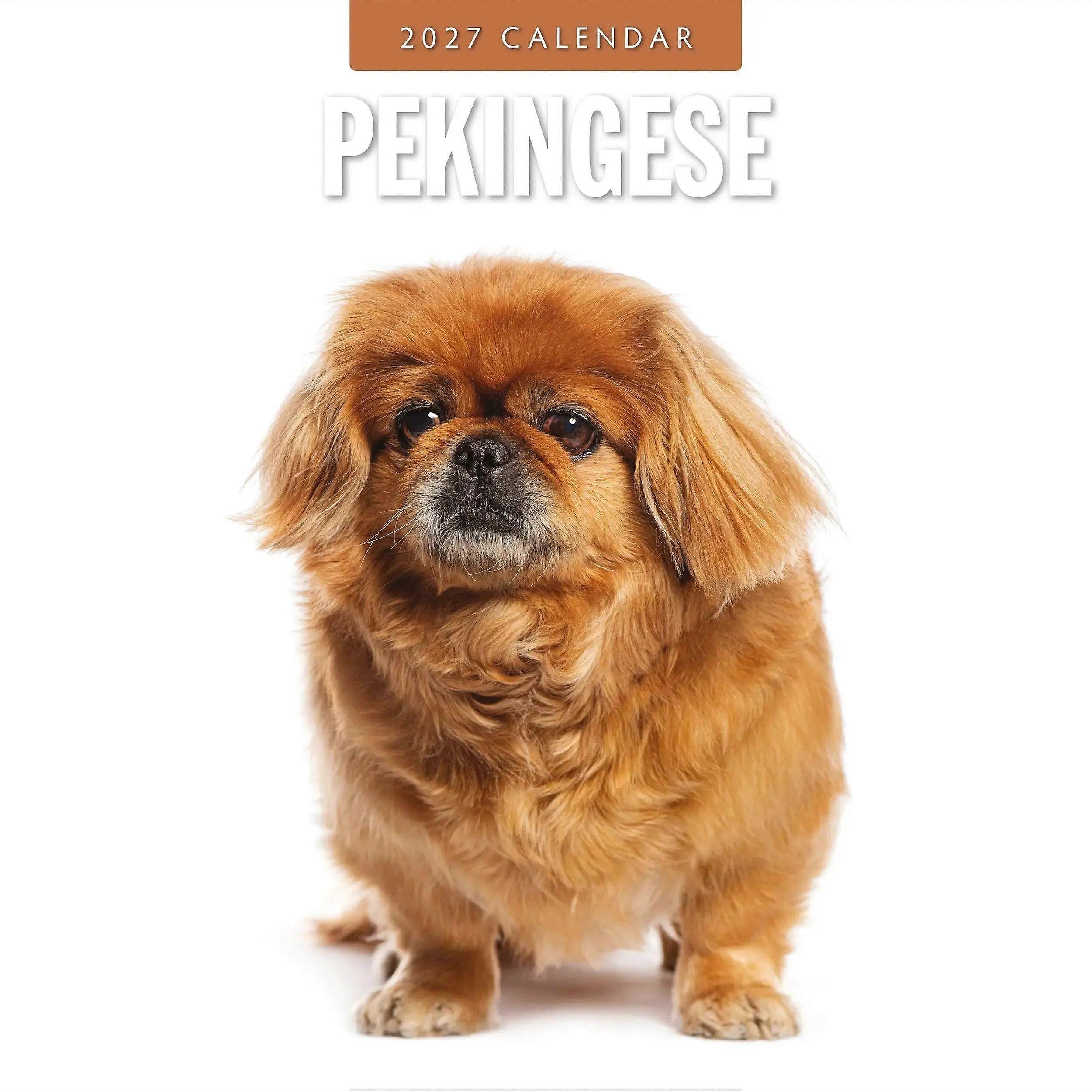 Avonside Pekingese Calendar 2026