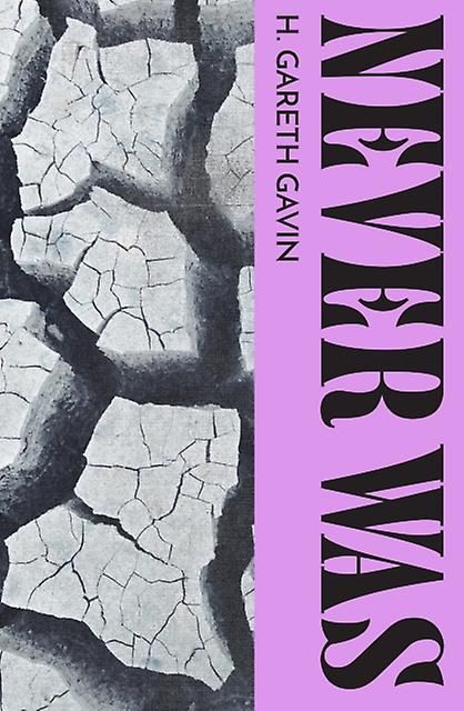 Nooit Was door Eer Gavin Paperback