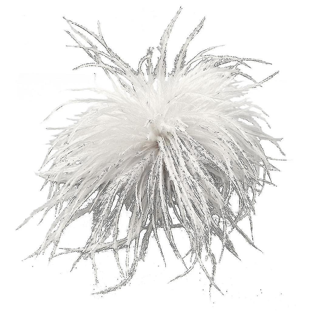 Fjer Broche fjer Corsages Klud dekorationer Struds fjer materiale