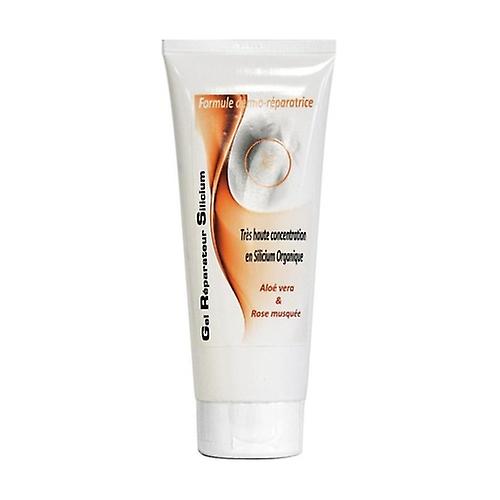 Silicon Repair Gel 200 ml