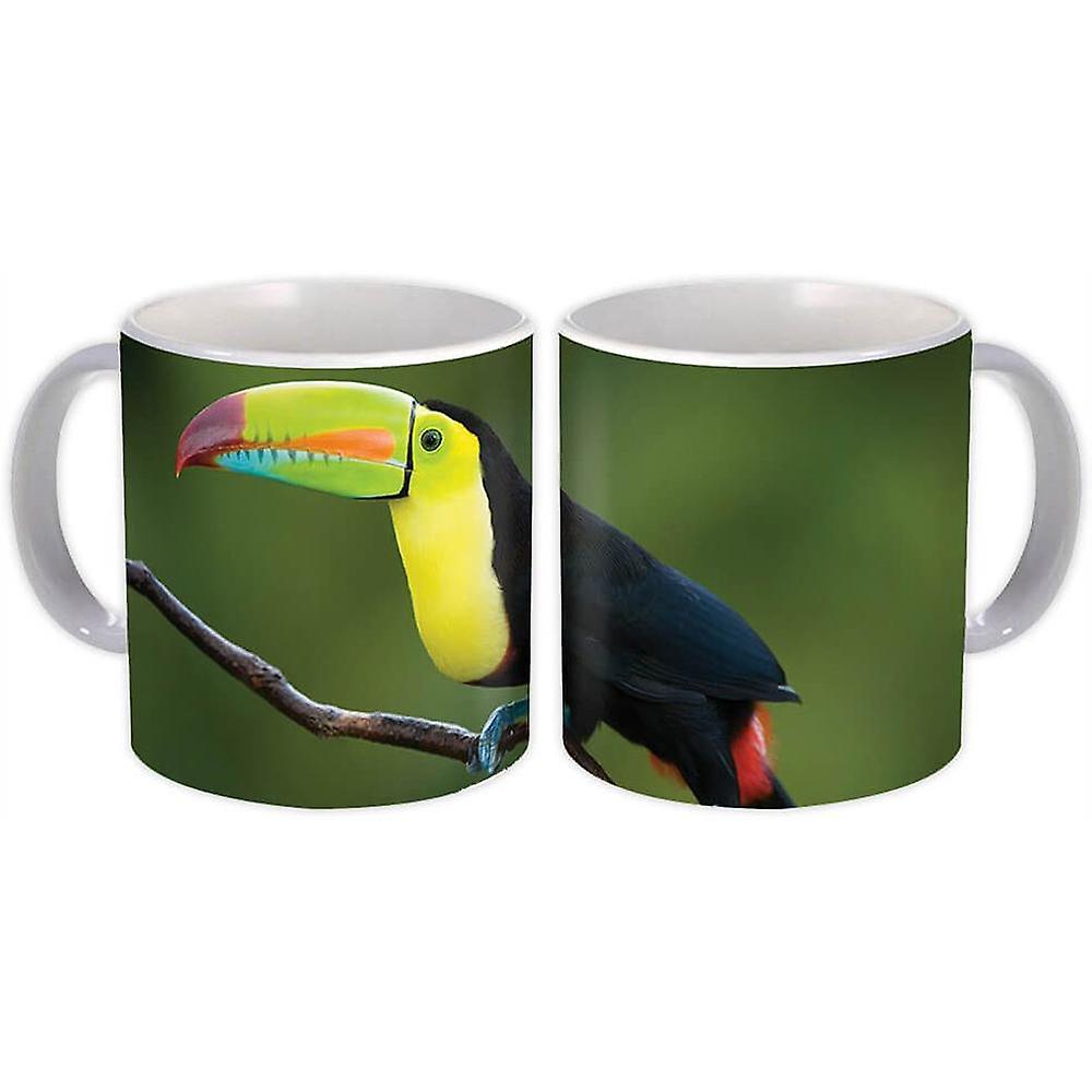 Hediye Kupa: Toucan Doğa