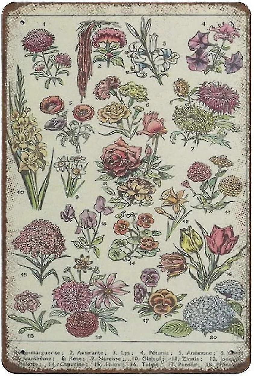 Placa de Lata de Metal Decoração de Flores Botânicas 8x12 Polegadas OU 12x16 Polegadas Modo 1827