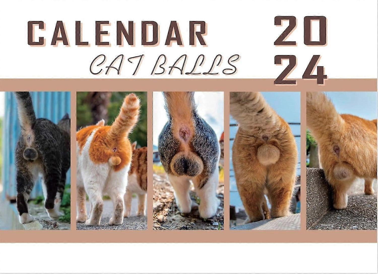 Calendario Dell'Avvento Per Gatti 2025 - 24 Giocattoli Natalizi A Sorpresa, Regalo Interattivo Per Micio