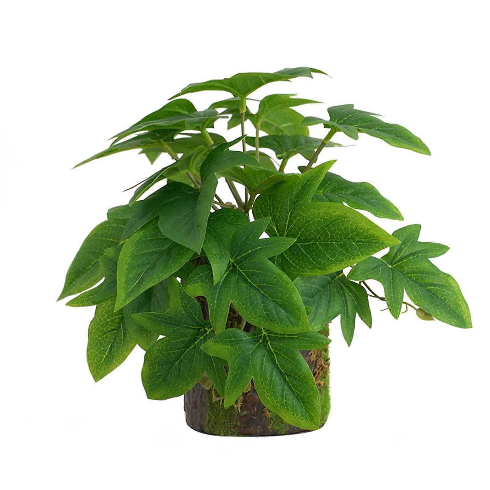 نباتات الزواحف نباتات متسلق نباتات بونساي الخضراء بونساي ديكور الموائل للسحالي أبو بريص الثعابين تررم