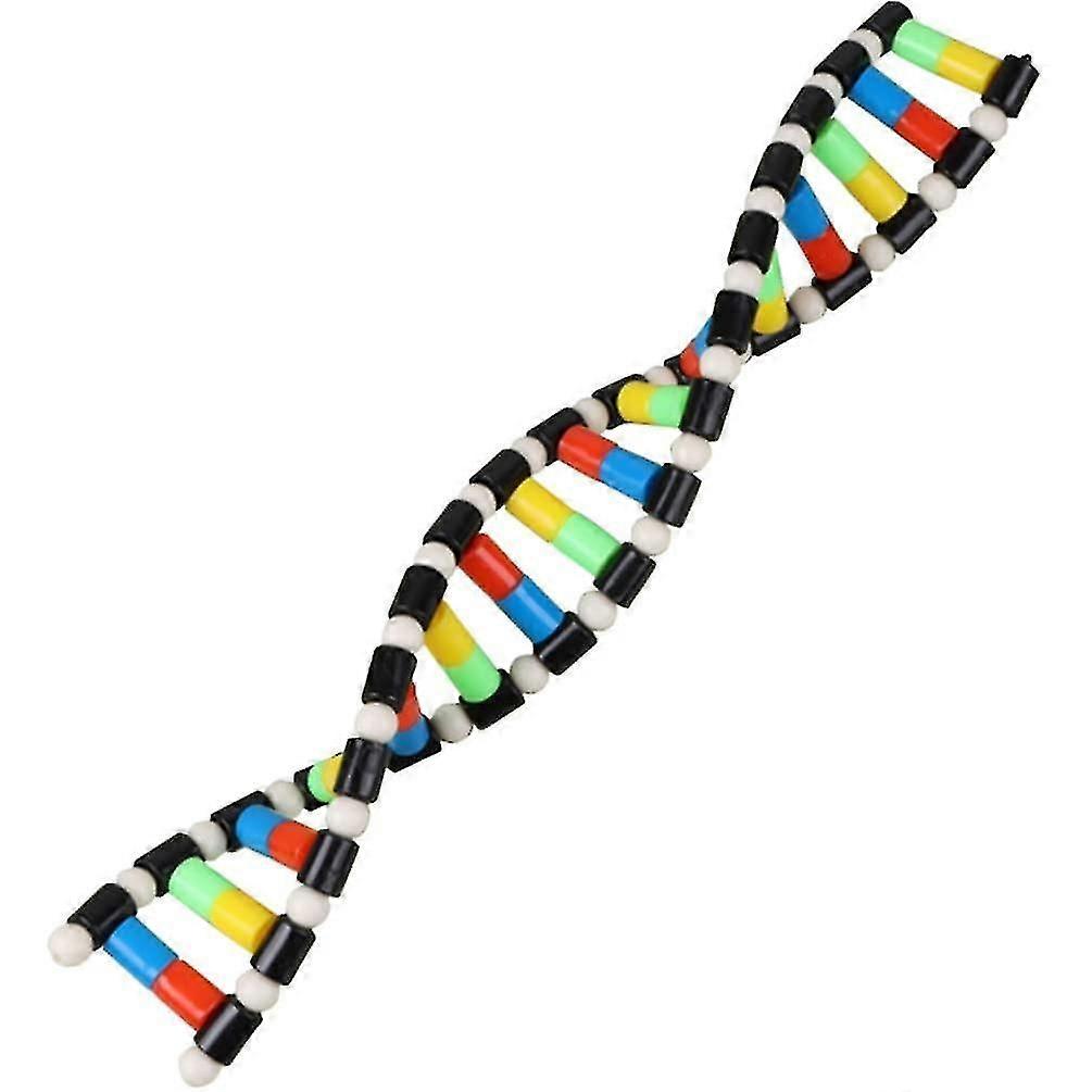 子供のおもちゃ、子供のおもちゃの子供のDNAモデルキット、科学教育ディスプレイワトソンクリックモデル教育玩具のための二重らせんモデルDNAディスプレイコンポーネント