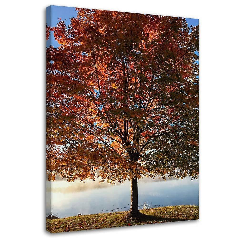 Leinwandbild, Herbstbaum - 80x120