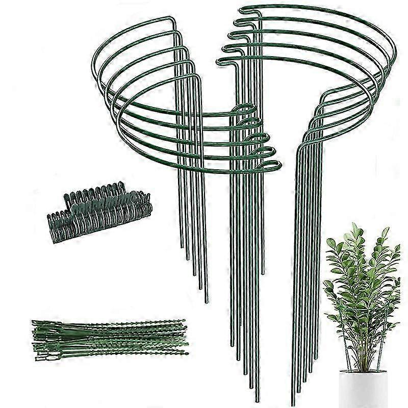 10-osainen metallinen puutarhakasvien panos ja pensaan tukirengashäkki ulkokasvien kasvuun ja vakauteen Kestävät puutarhatarvikkeet