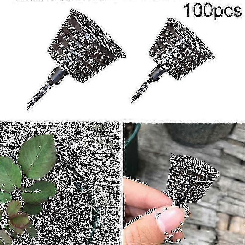 welcher dünger für monstera Monstera-Flüssigdünger 500 ml main image 0