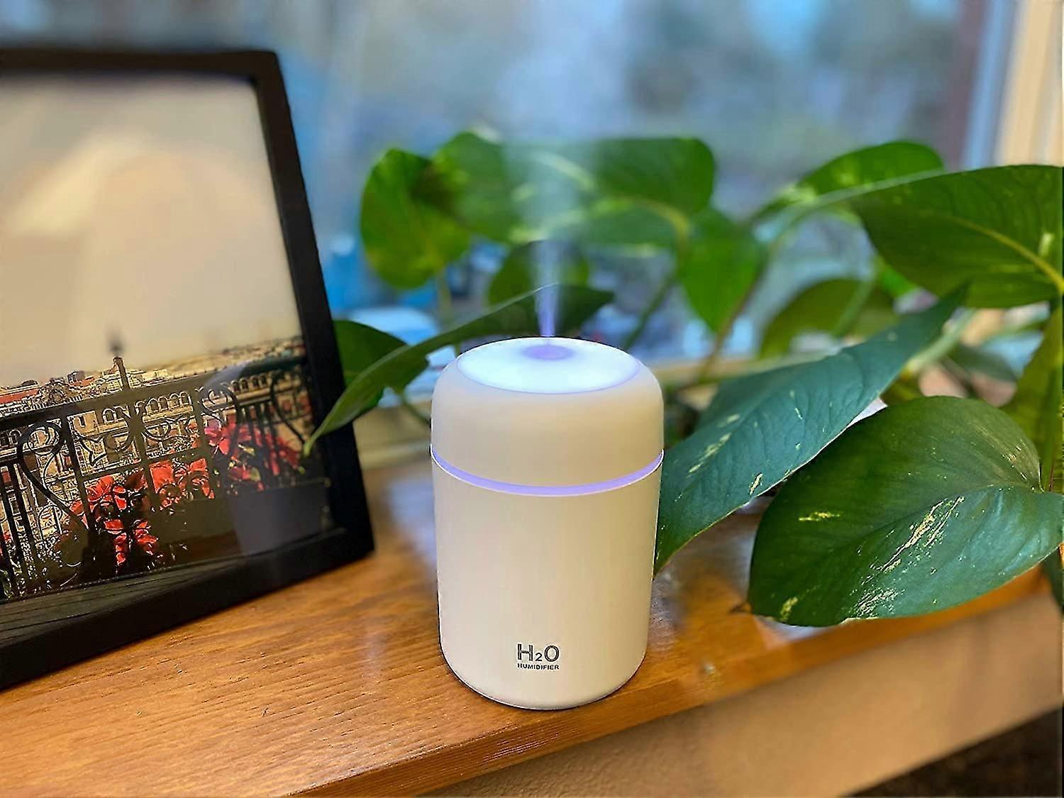 Portable Mini USB Humidifier