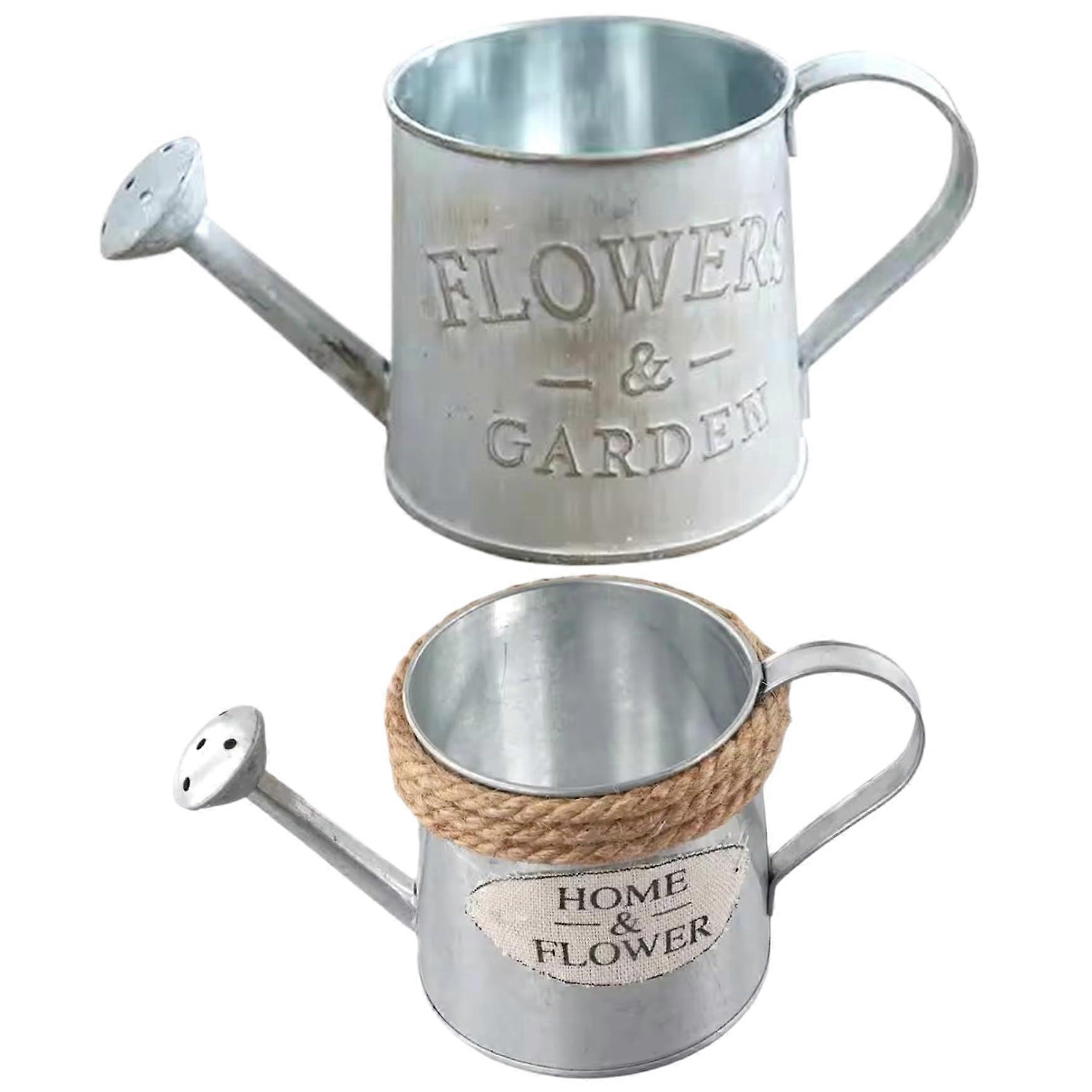 2 pieces Bltenschale Retro Iron Mini Watering of Vintage Planter rustic Storage container for Plant display and Flower arrangements
