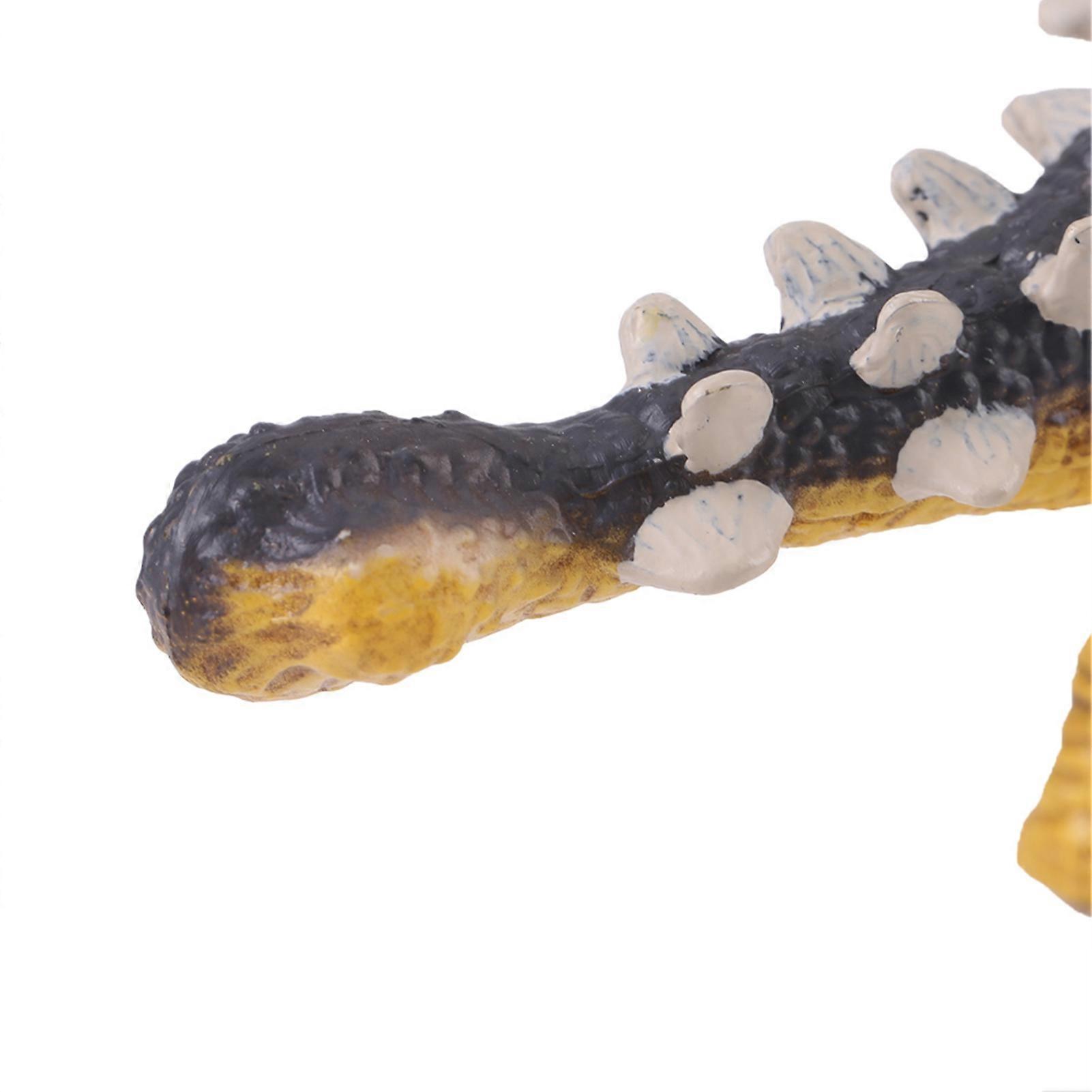 Mini Saichania Dinosaur Made of Solid Plastic for Kids
