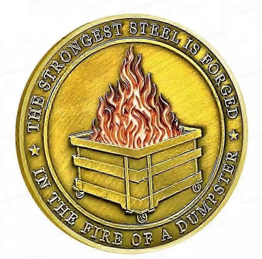 Exquisite Dumpster Fire Challenge Coin, Dumpster Fire Desk Accessories HOT