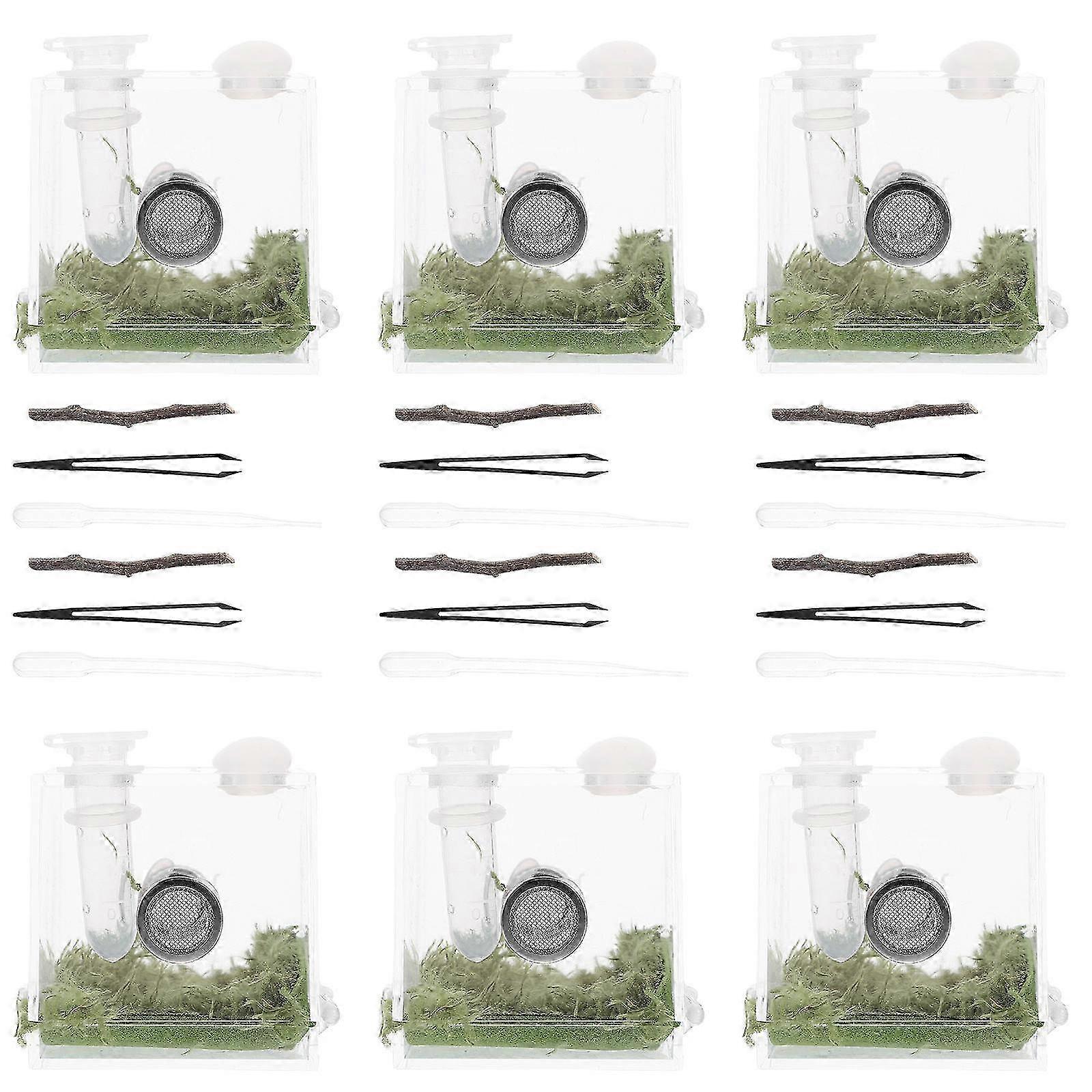 Jumping Spider Enclosure Acrylic Insects Feeding Case with Ventilation 8Sets