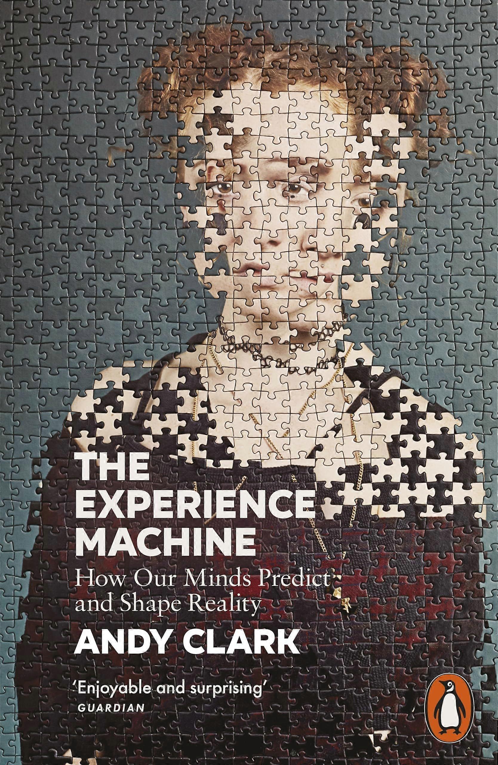 The experience machine how our minds predict and shape reality