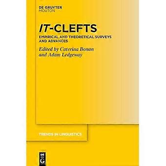 It-Clefts: Empirische en theoretische onderzoeken en ontwikkelingen