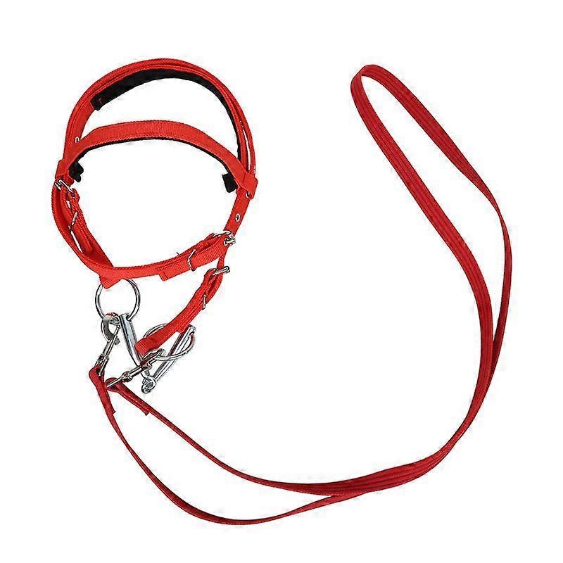 Adjustable Nylon Horse Halter And Lead Rope