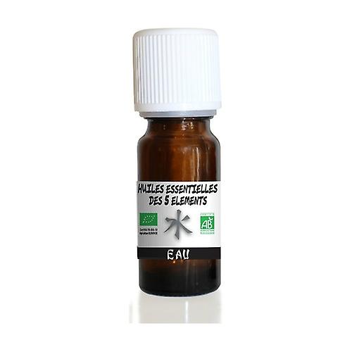 Essential Oils Water 10 ml of essential oil (Ginger - Scented woods)