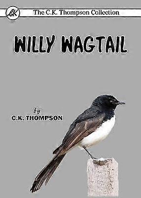 Willy Wagtail