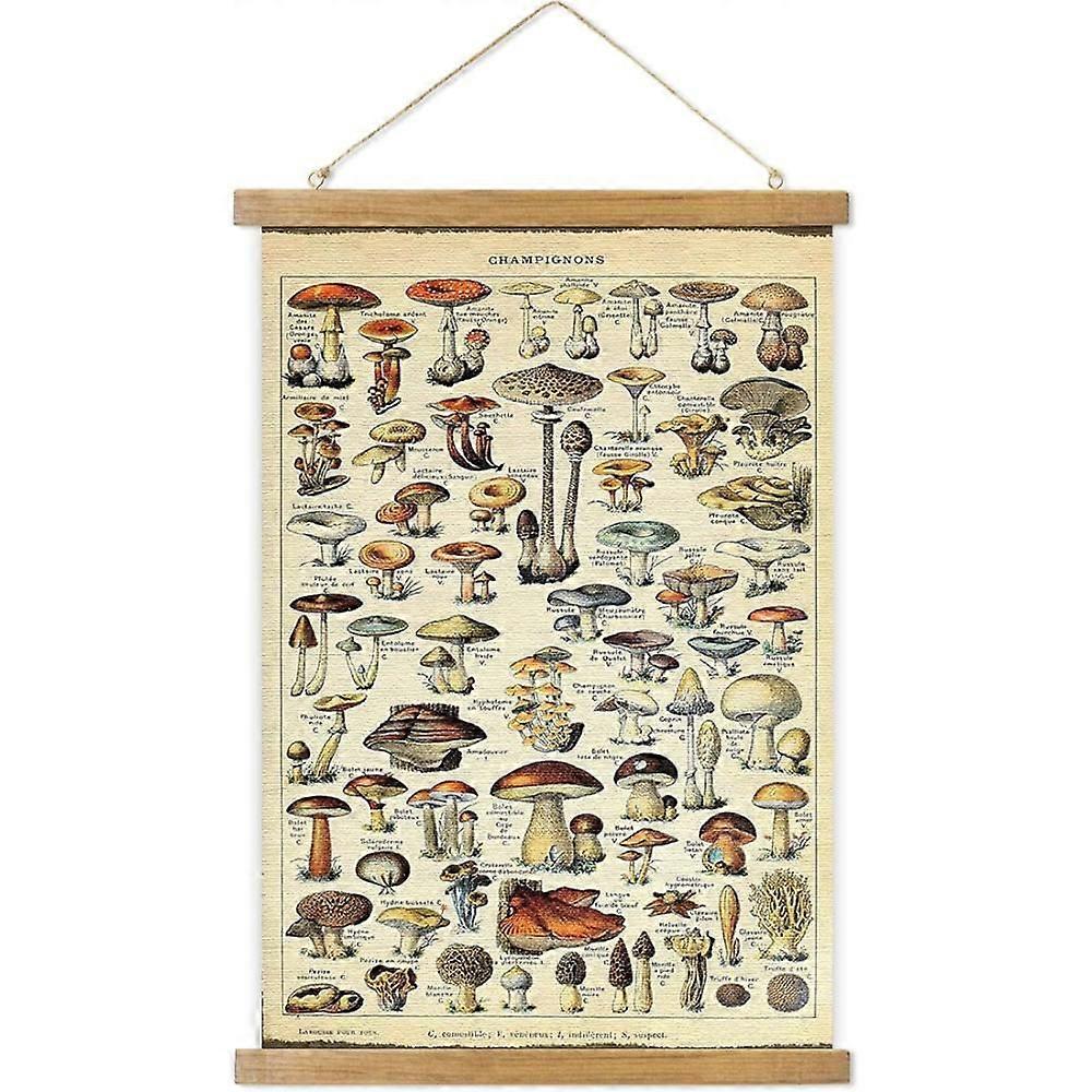 Vintage Hanging Posters, Decorative Fish Wall Art Prints, Printed on Linen with Wood Frames, Ready to Hang(Mushroom)