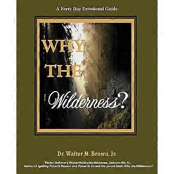 Why The Wilderness A Forty Day Devotional Guide - Brown, Walter M., Jr - Paperback - en Book