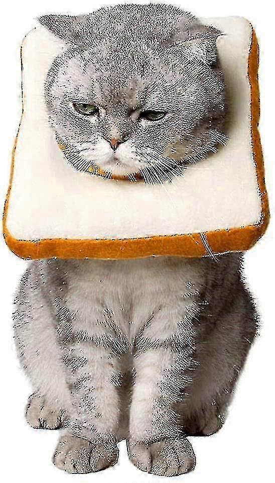 قابل للتعديل القط E-طوق ، لطيف نخب الرقبة مخروط بعد الجراحة ، التئام الجروح واقية مخروط الخبز جراحة استعادة الياقات اليزابيثية ، حافة لينة ل K