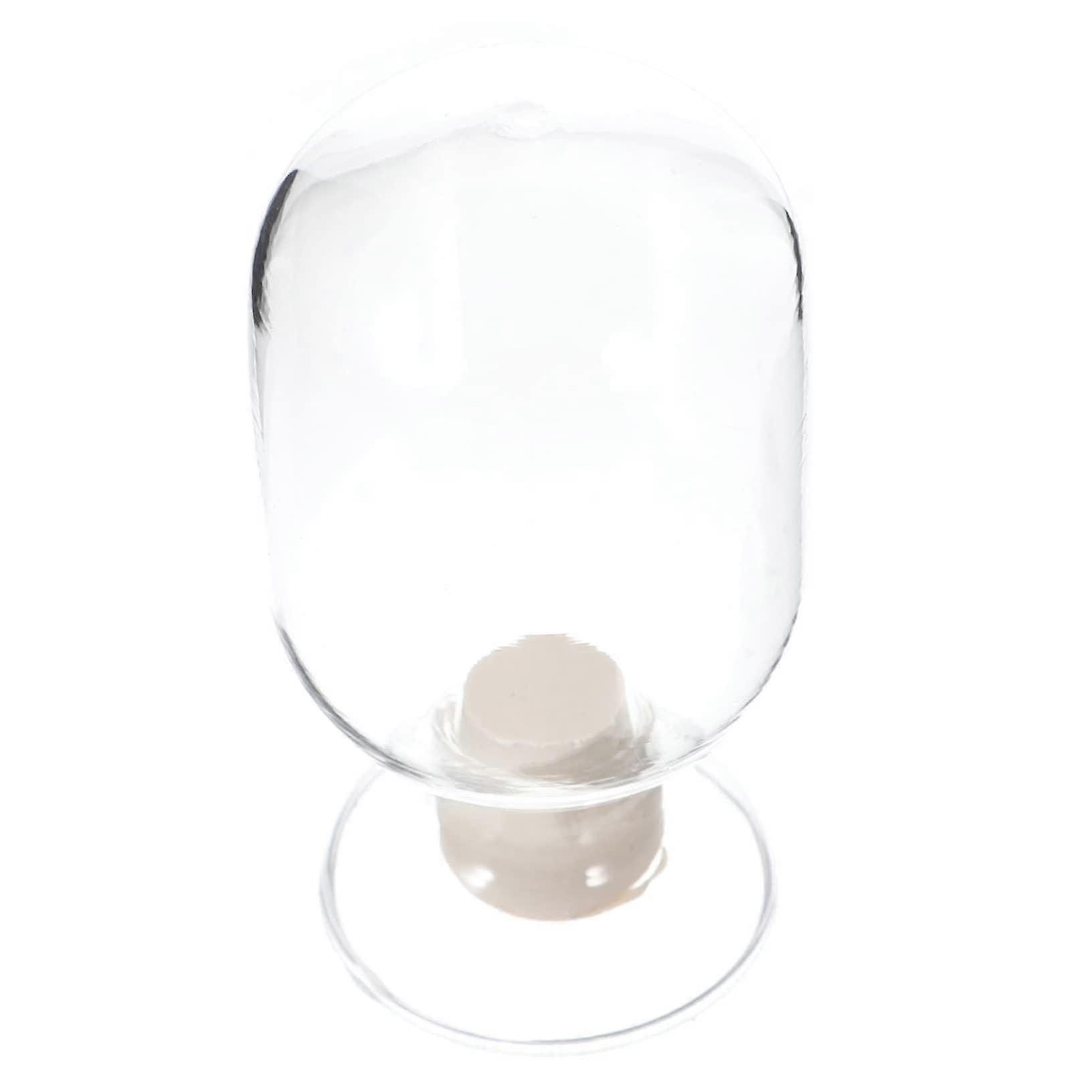 Glass Storage Bottle Clear Display Design Reusable Sample Container for Laboratory and Science Experiments 10x5x5cm