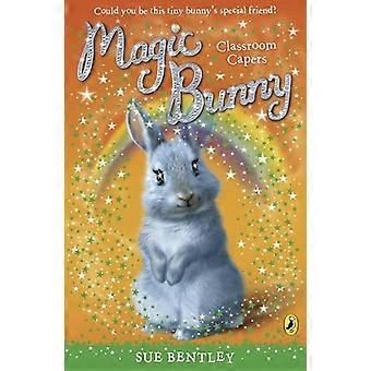 Magische Bunny: Klassenzimmer Kapern