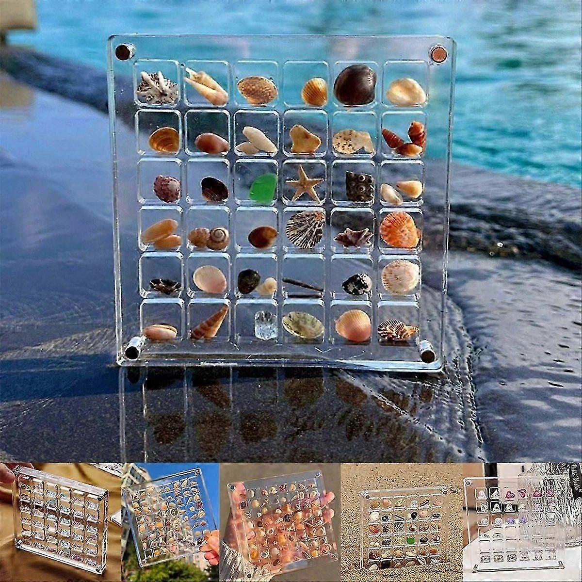Acrylic Magnetic Seashell Display Box,Grid Clear Acrylic Seashell,F