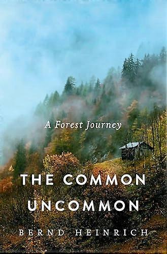 The Common Uncommon A Forest Journey