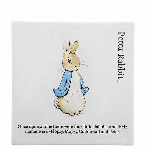 Peter Rabbit Decorative Wall Plaque - Peter Rabbit