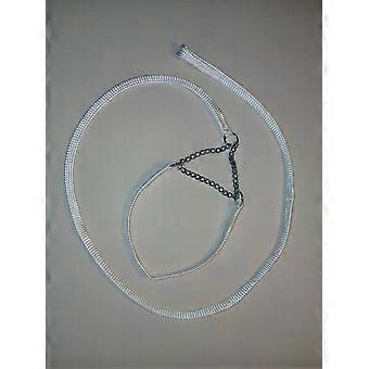Collar size11" Show Lead White Combination Half-check Collar And Lead (8mm Wide)