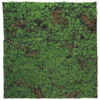 Artificiel Mousse Gazon Simulation Mousse Herbe Réaliste Plantes Vertes Décor Micro Paysage Mousse Gazon