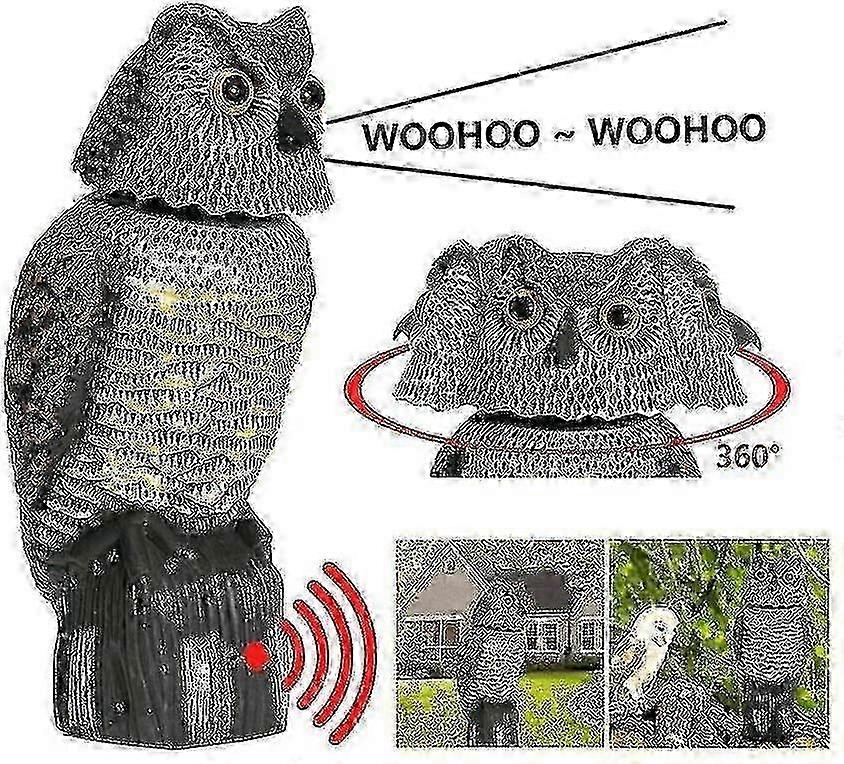 Garden owl deterrent with rotating head and shadow effect