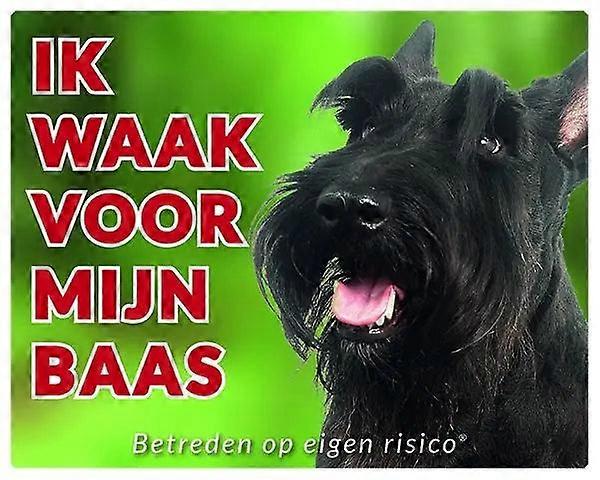 Sticker King Scottish Terrier Warning Sign - I Watch Out For My Owner (2)