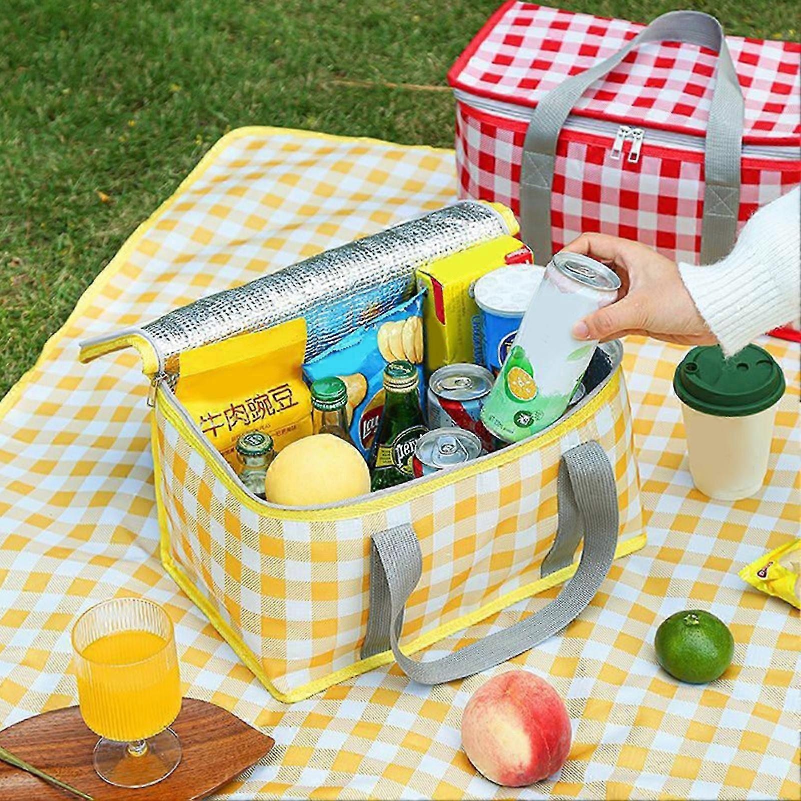 Foldable Waterproof Insulated Picnic Bag